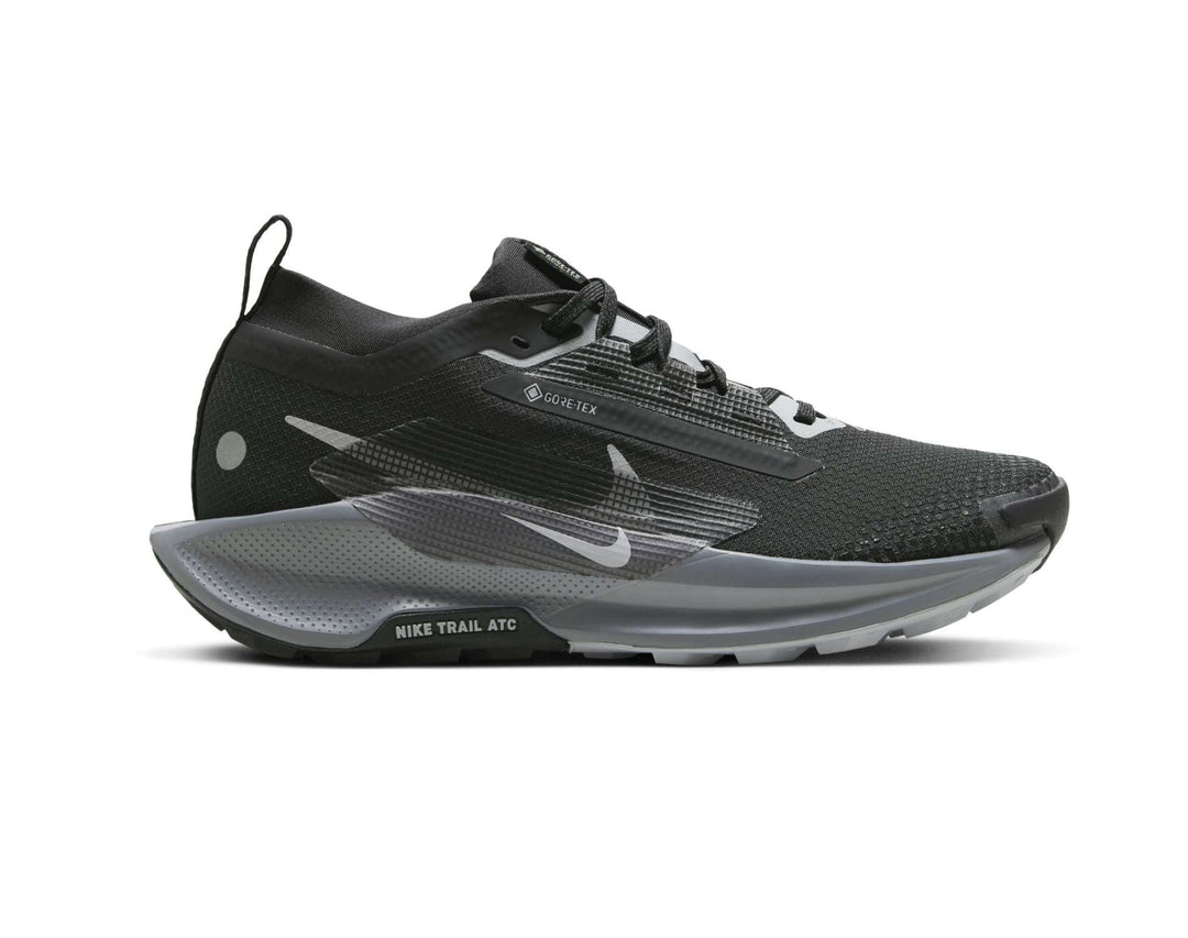 Nike Pegasus Trail 5 GORE-TEX Dames Trailrunningschoenen
