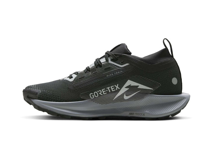 Nike Pegasus Trail 5 GORE-TEX Dames Trailrunningschoenen