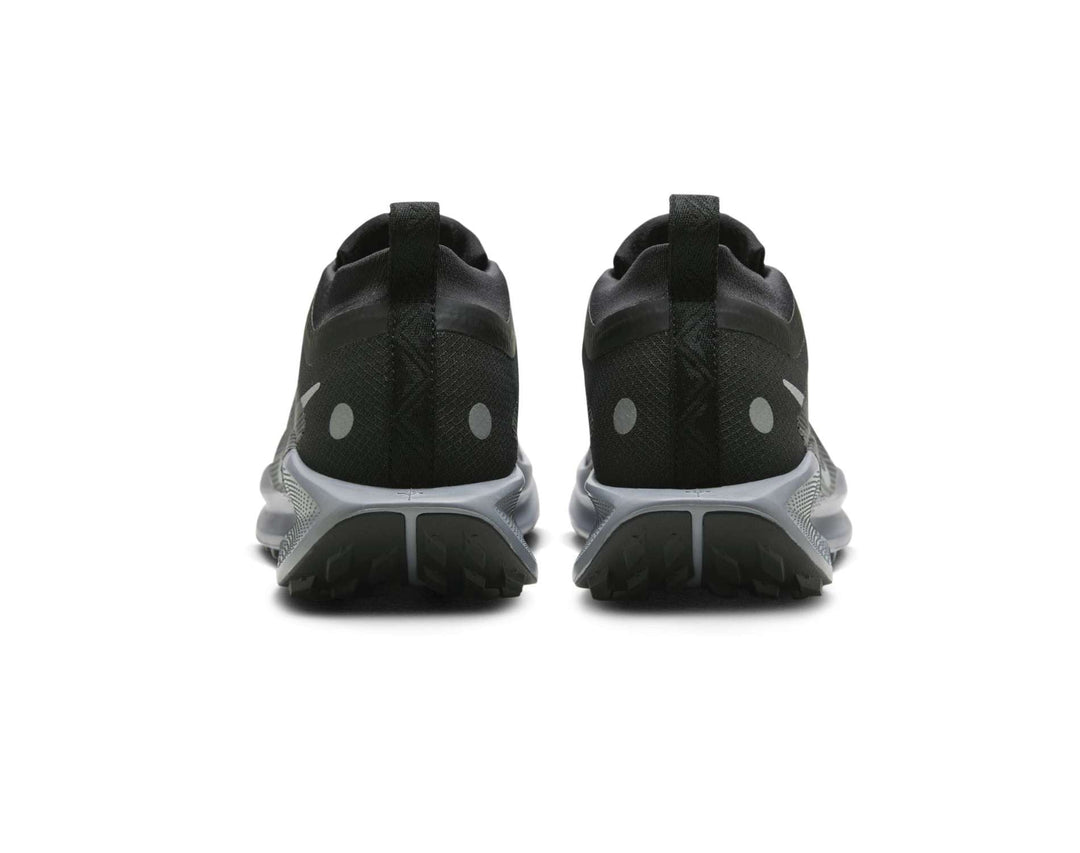 Nike Pegasus Trail 5 GORE-TEX Dames Trailrunningschoenen